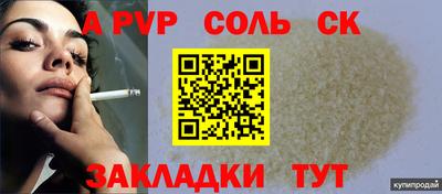 шишки Изобильный