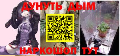 шишки Изобильный