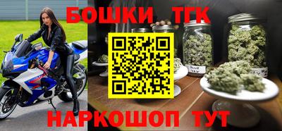 шишки Изобильный