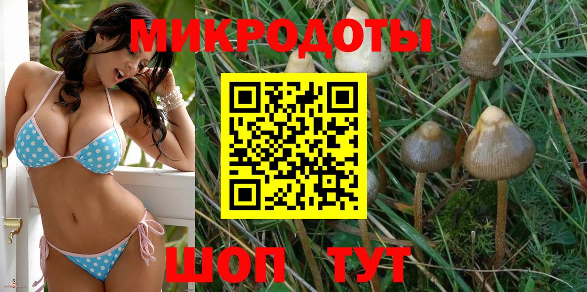 Псилоцибиновые грибы Psilocybine cubensis  Галлюциногенные грибы Cubensis  что такое   Глазов  Вход с VPN 