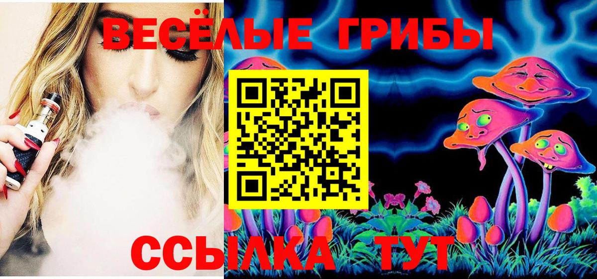 Галлюциногенные грибы Psilocybe Глазов